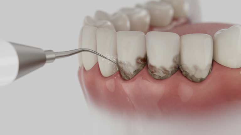 Reliable Dental contractor in Brown County County, WI by Dentist Open Now